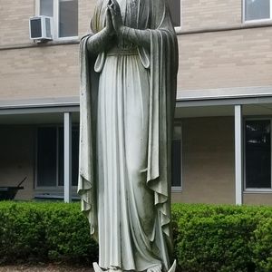 Meet your Posher, Lizzie